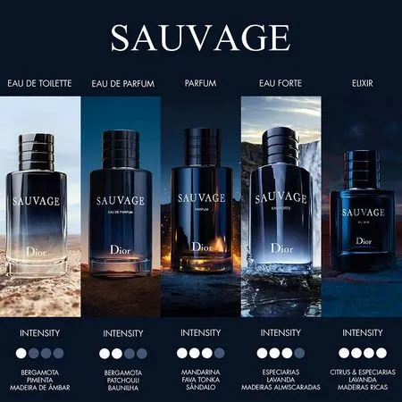 Perfume Sauvage Dior Eau de Parfum Masculino 100ml - Imagem 6